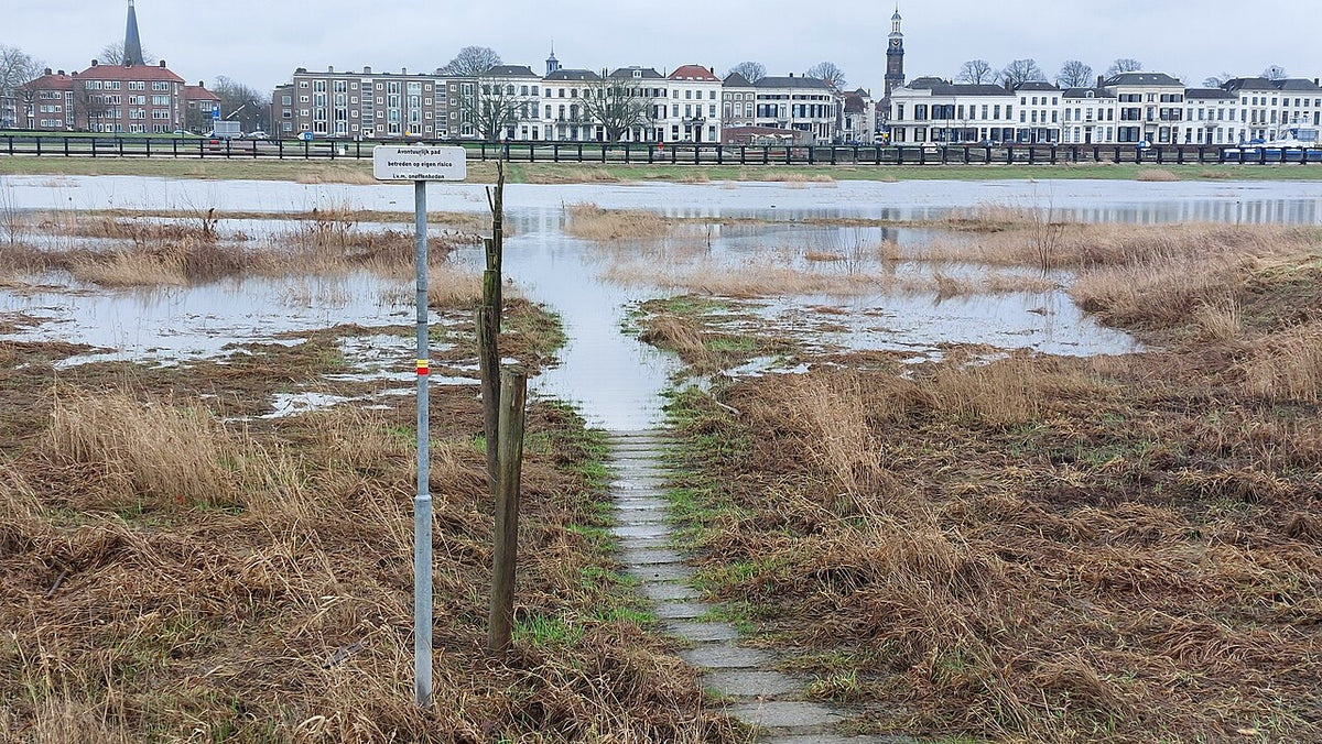 Hoogwater in de IJssel bij Zutphen