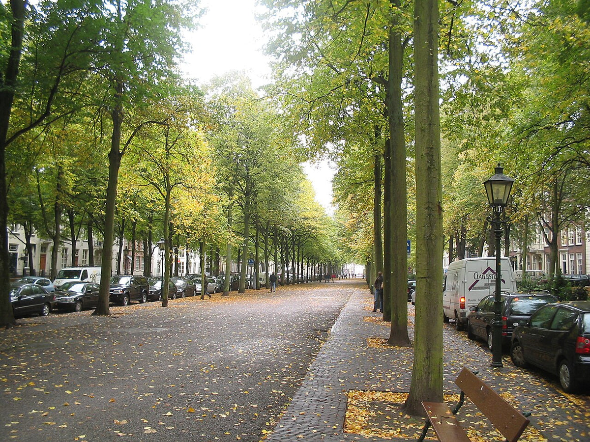 Lange Voorhout in Den Haag (archiefbeeld)