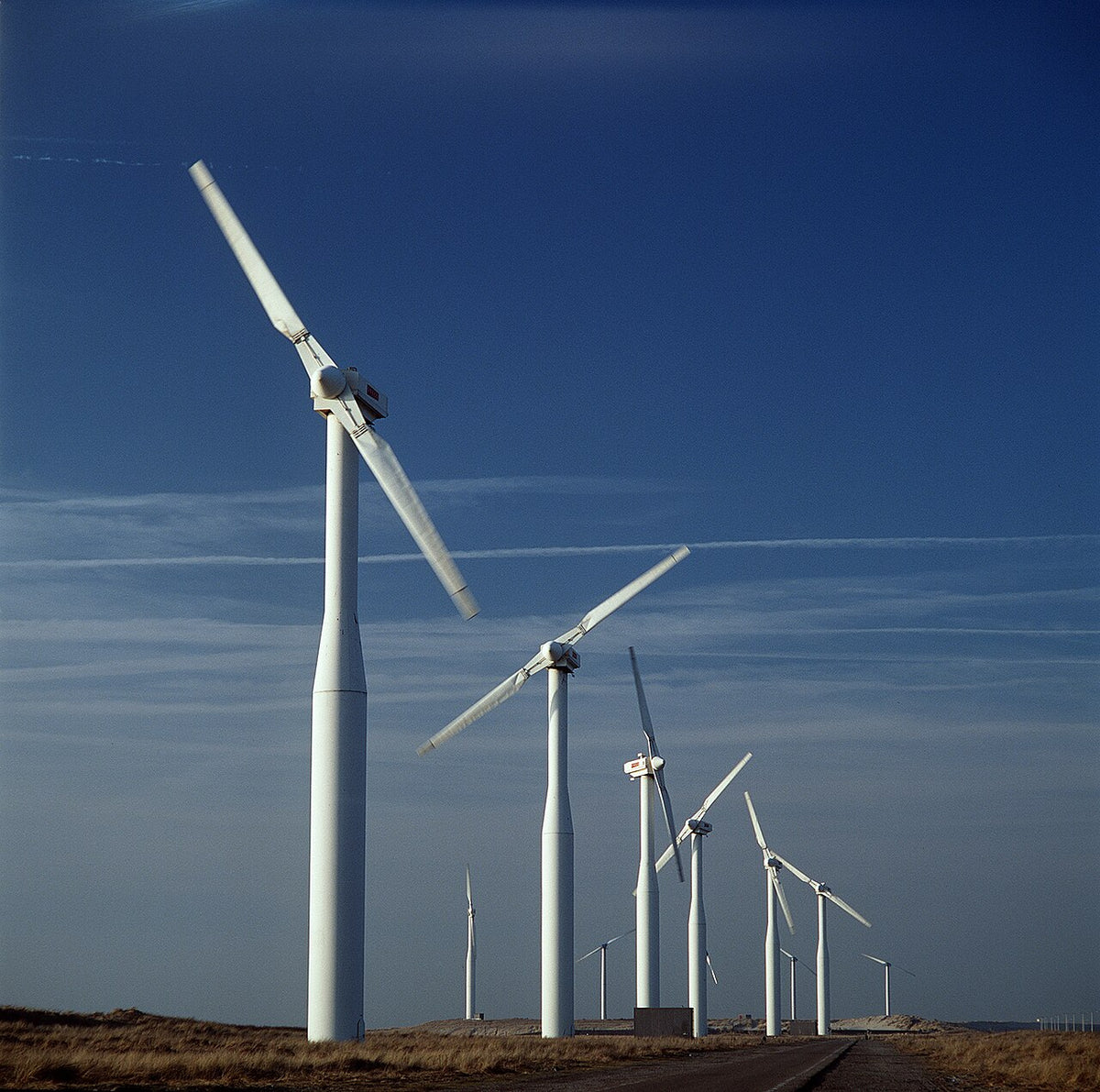 Windturbines in een Nederlands landschap