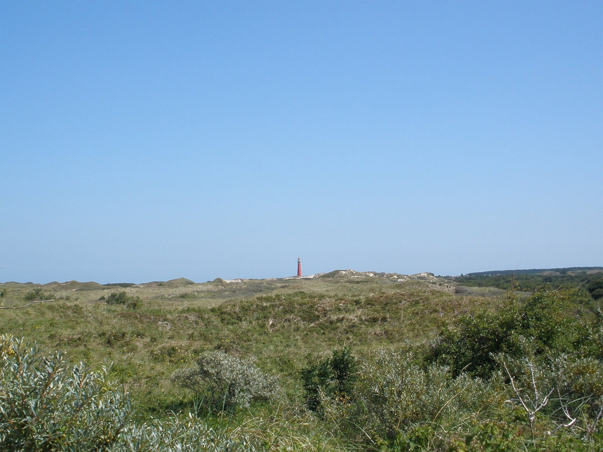 Schiermonnikoog (archiefbeeld)